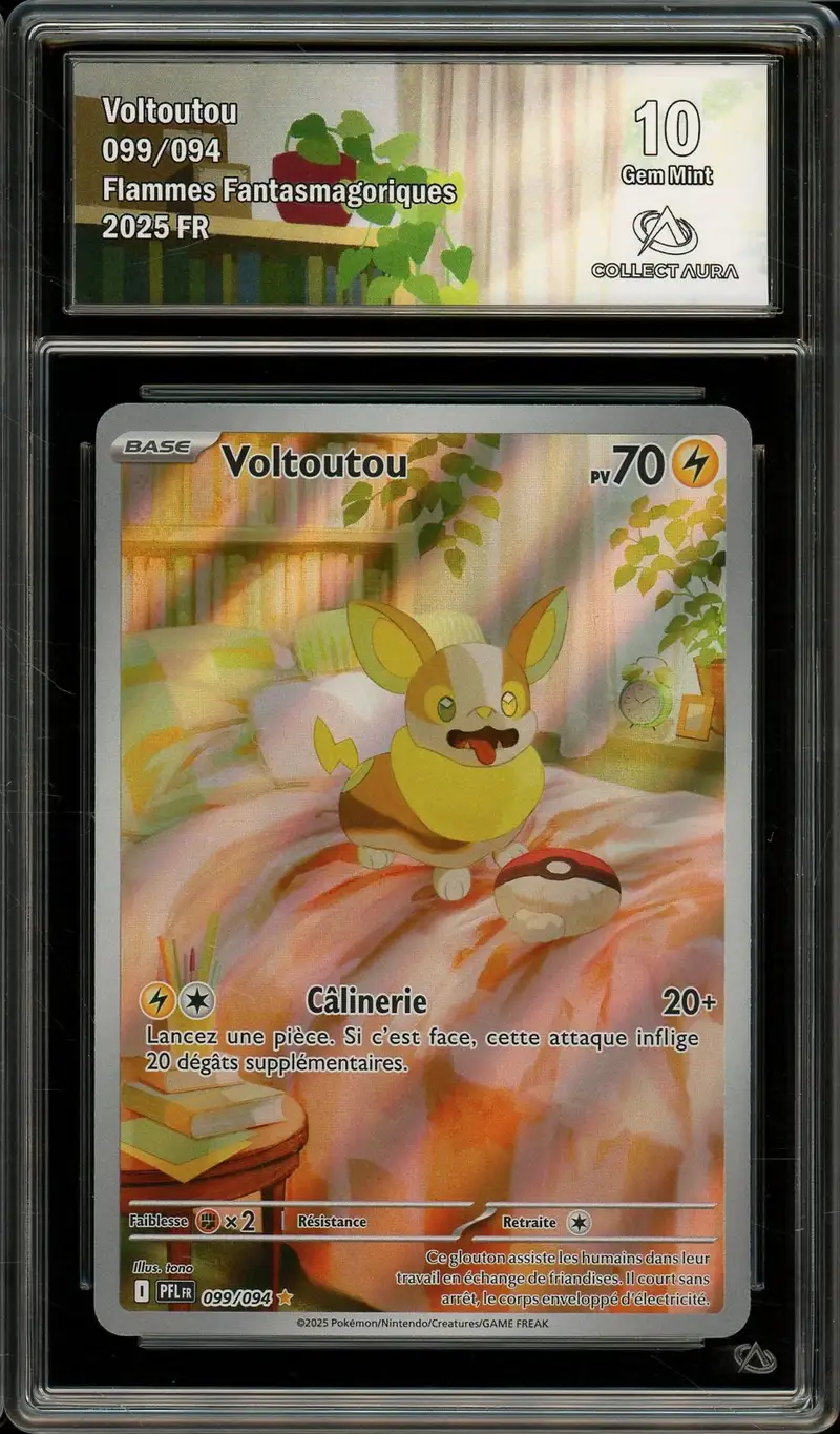 CA 10 Voltoutou