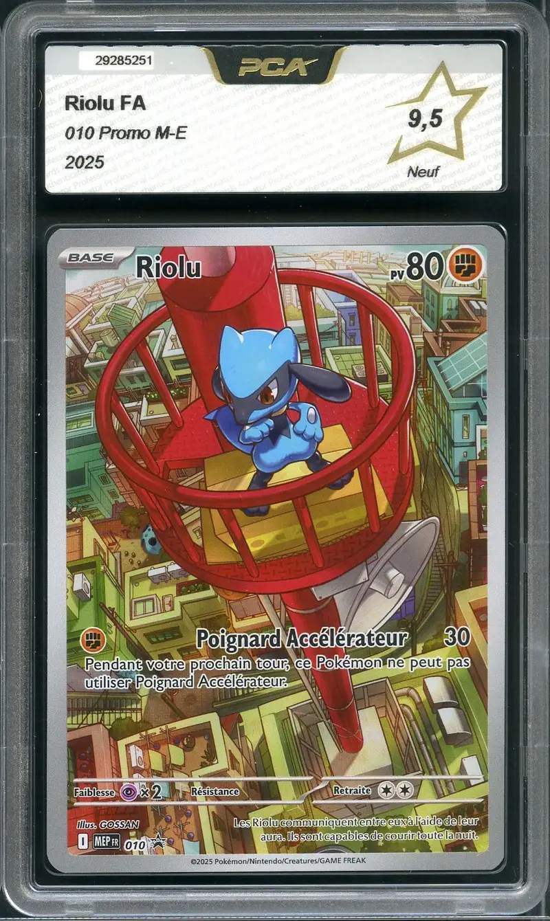 PCA 9.5 Riolu