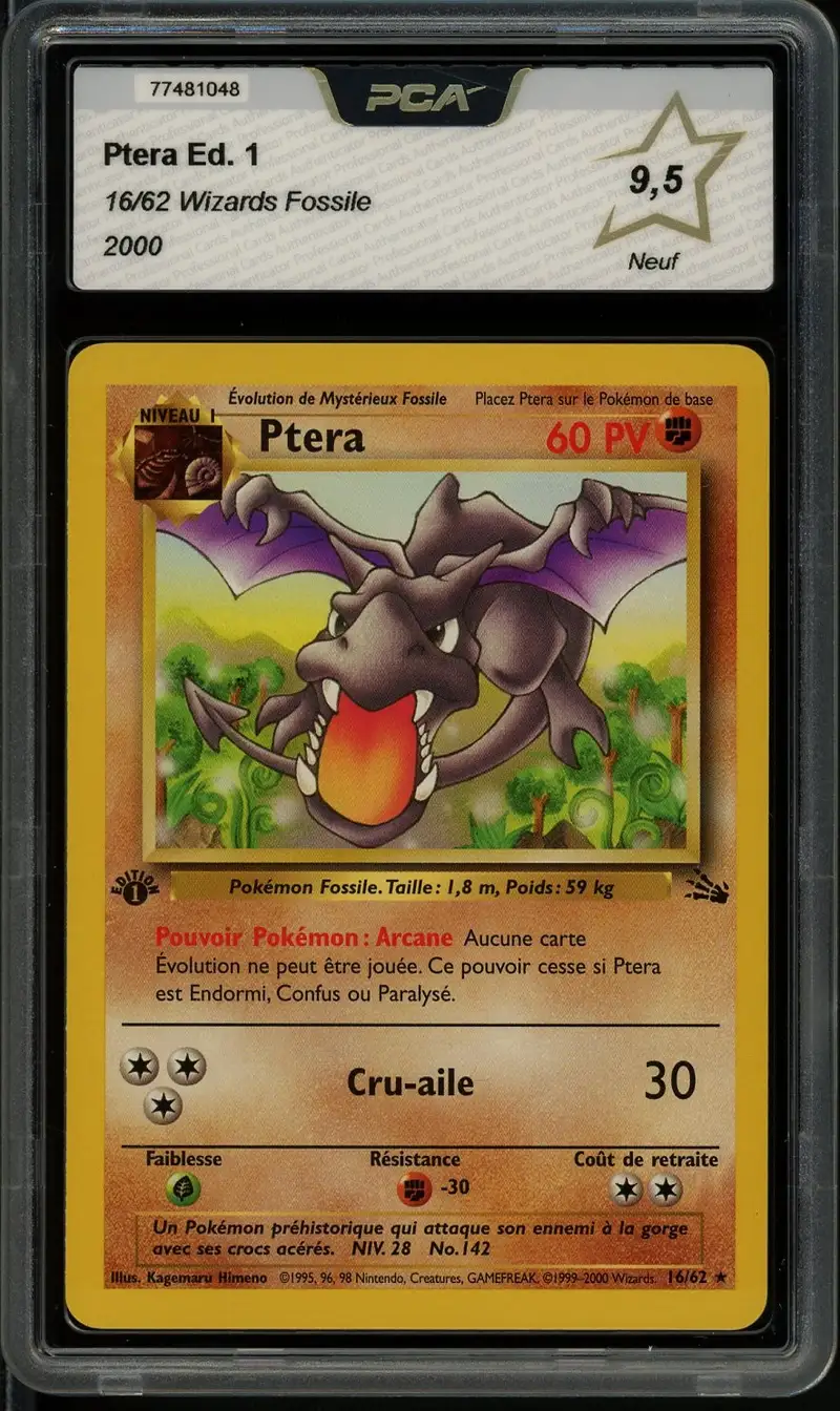 PCA 9.5 Ptéra