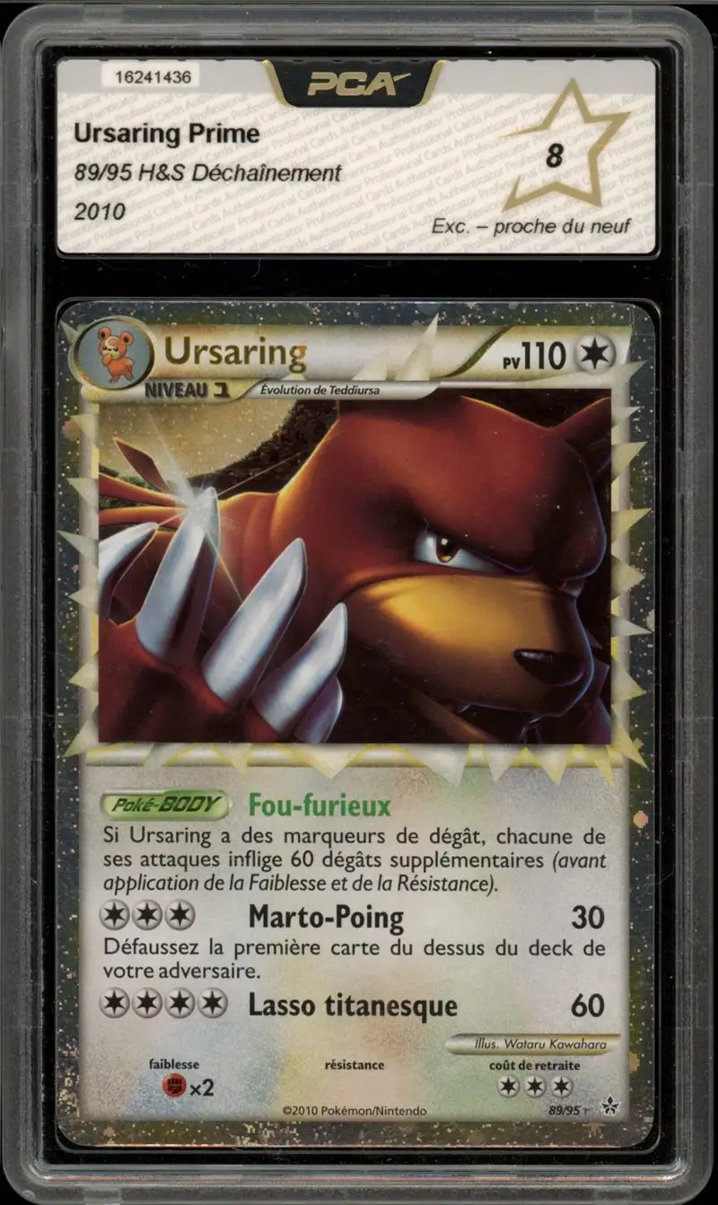 PCA 8 Ursaring Prime