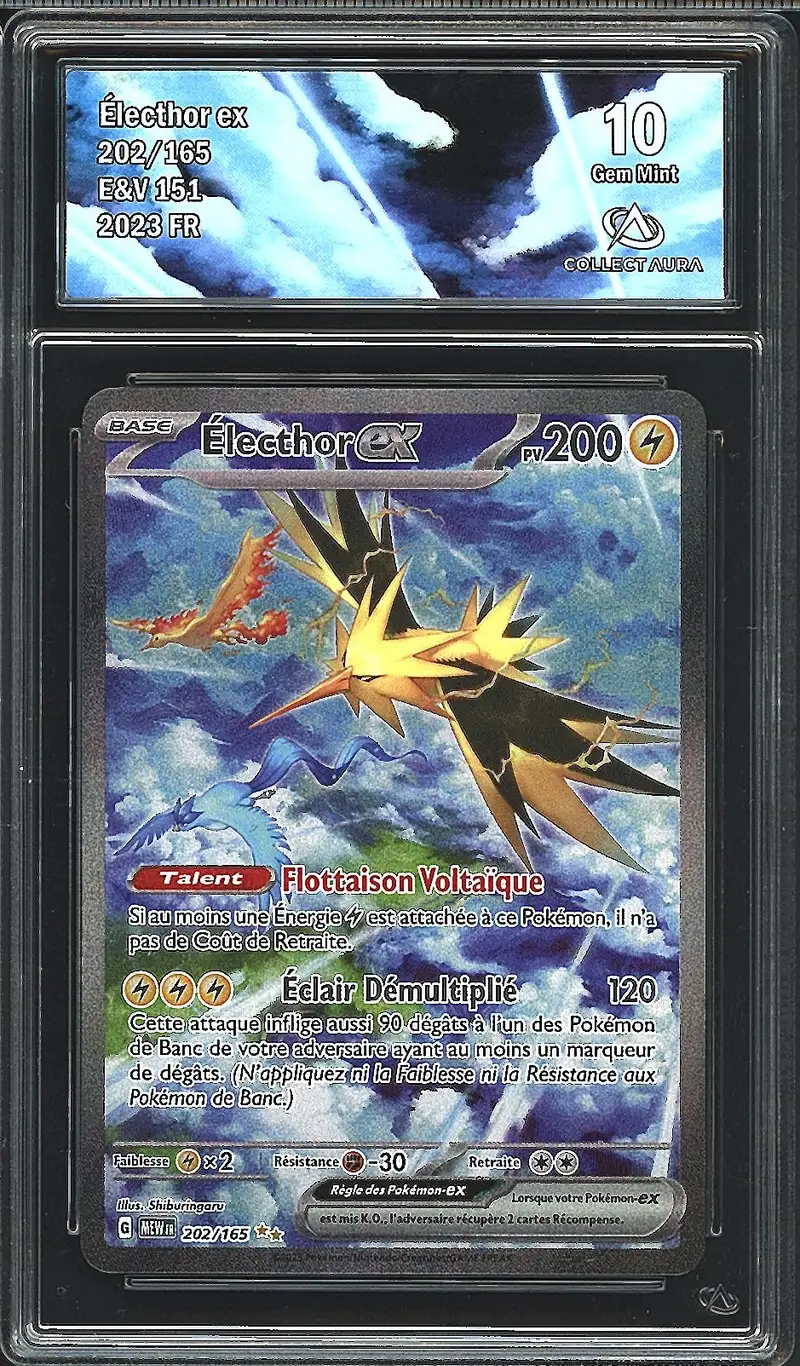 CA 10 Electhor Ex