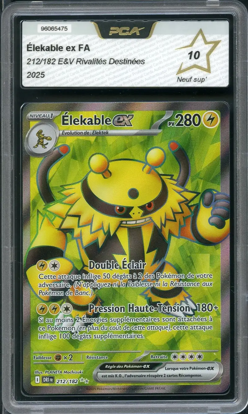 PCA 10 Élekable Ex