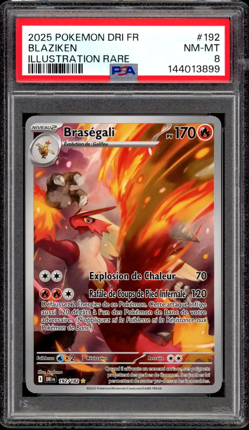 PSA 8 Braségali