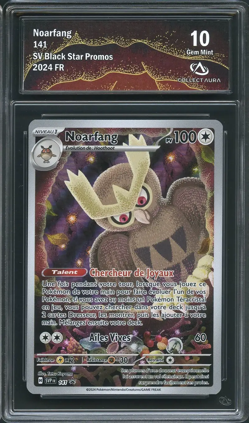 CA 10 Noarfang
