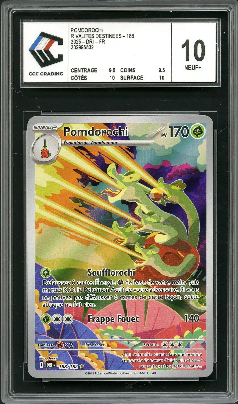CCC 10 Pomdorochi