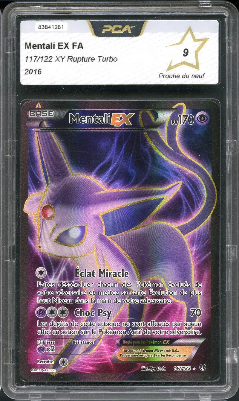 PCA 9 Mentali Ex