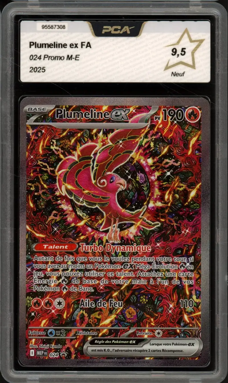 PCA 9.5 Plumeline Ex