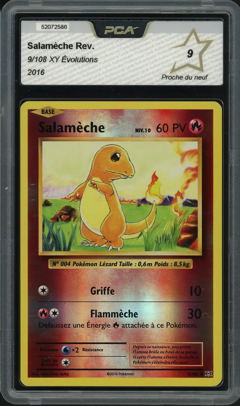 PCA 9 Salamèche Reverse
