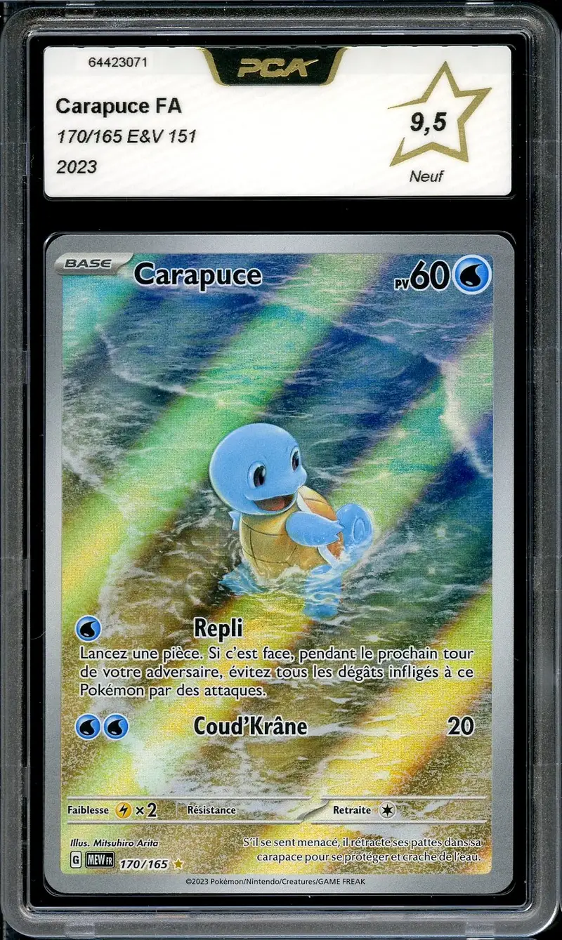 PCA 9.5 Carapuce