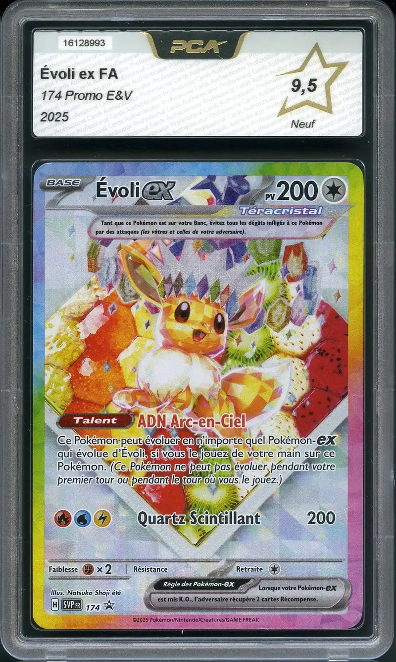 PCA 9.5 Evoli Ex