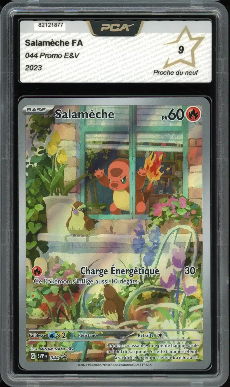 PCA 9 Salamèche