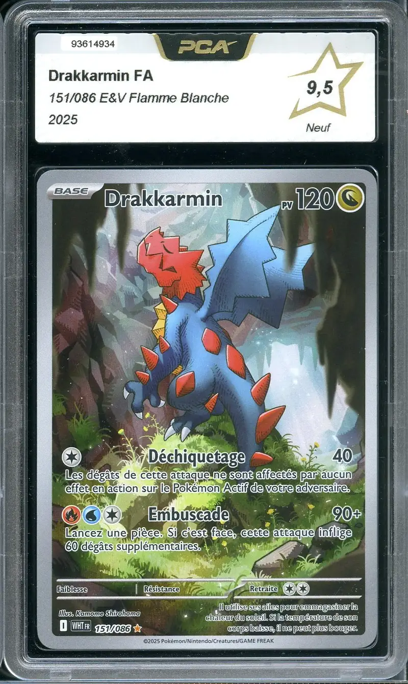 PCA 9.5 Drakkarmin