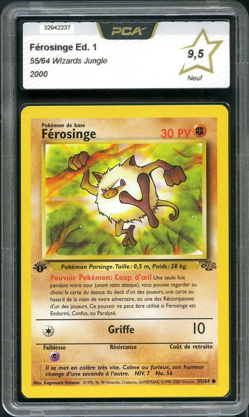 PCA 9.5 Férosinge
