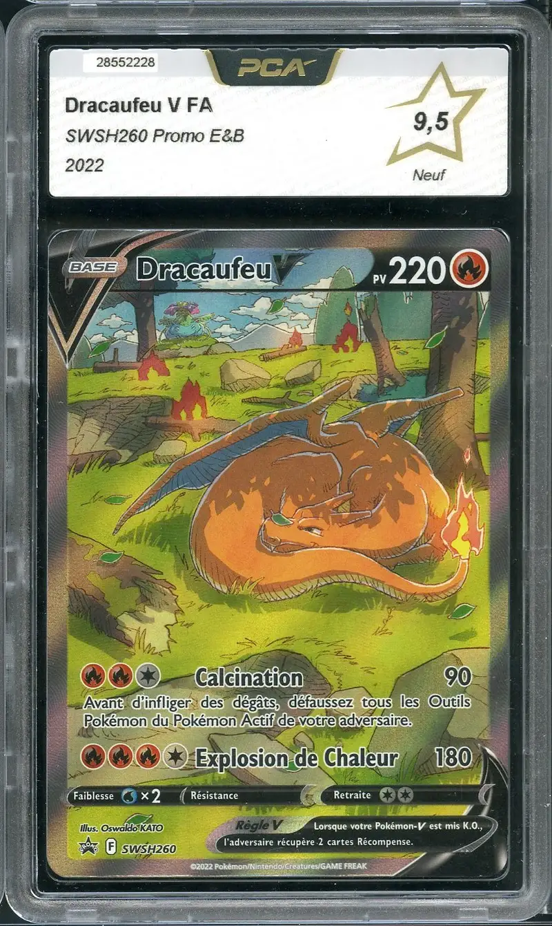 PCA 9.5 Dracaufeu V