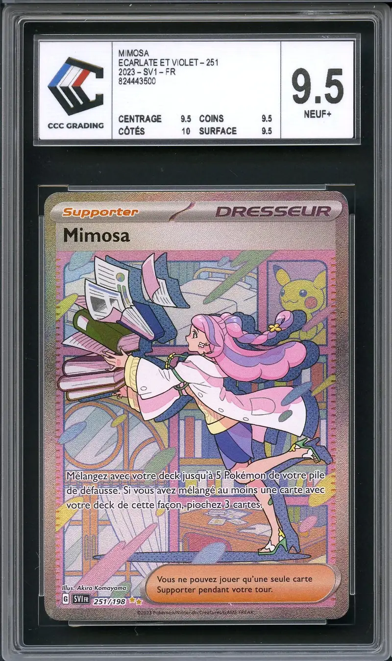 CCC 9.5 Mimosa