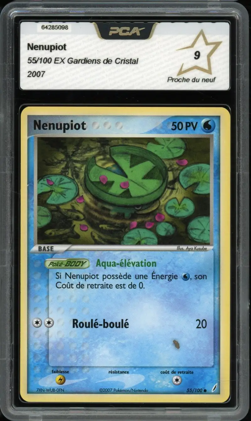PCA 9 Nénupiot