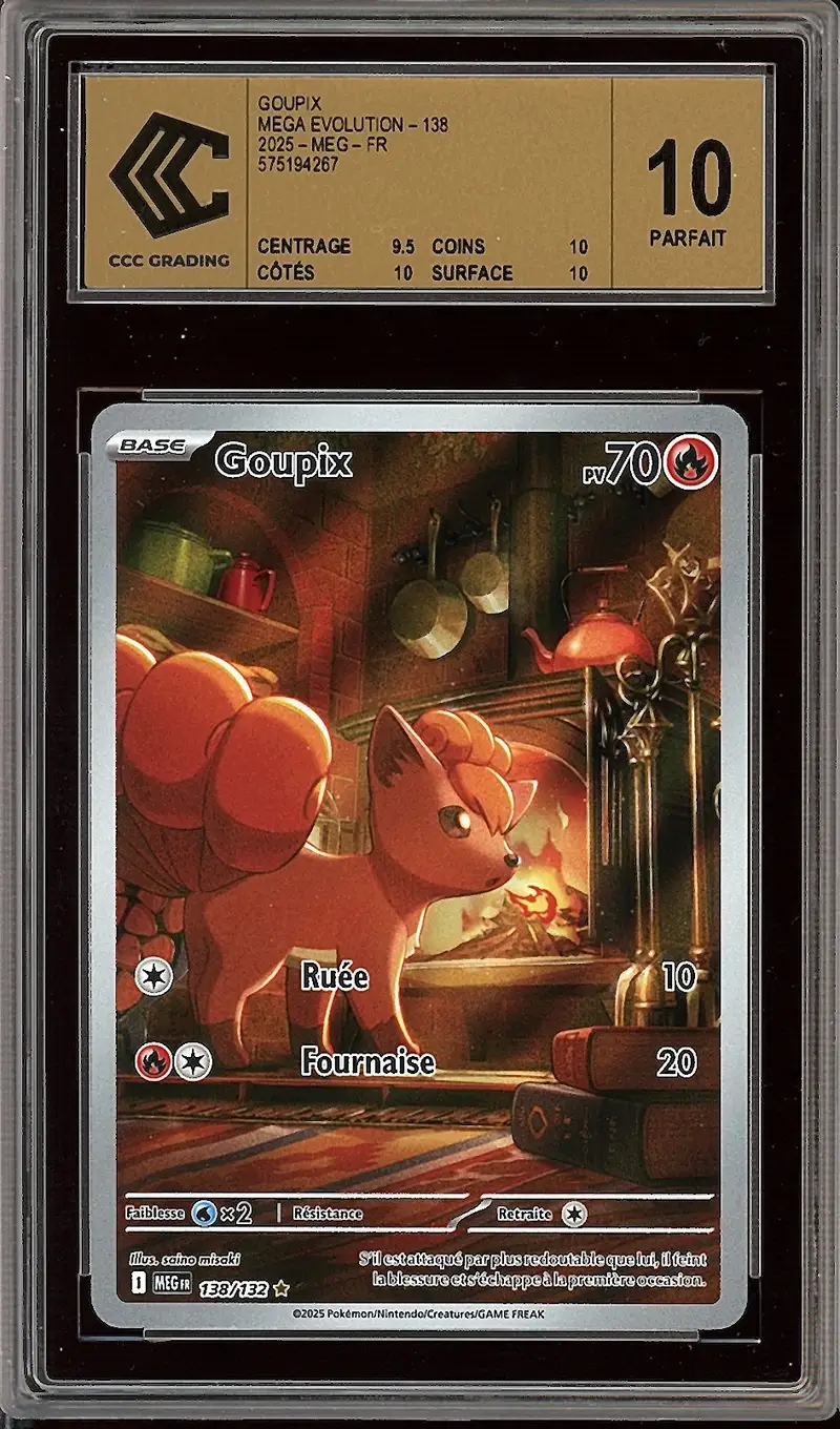 CCC 10 Goupix