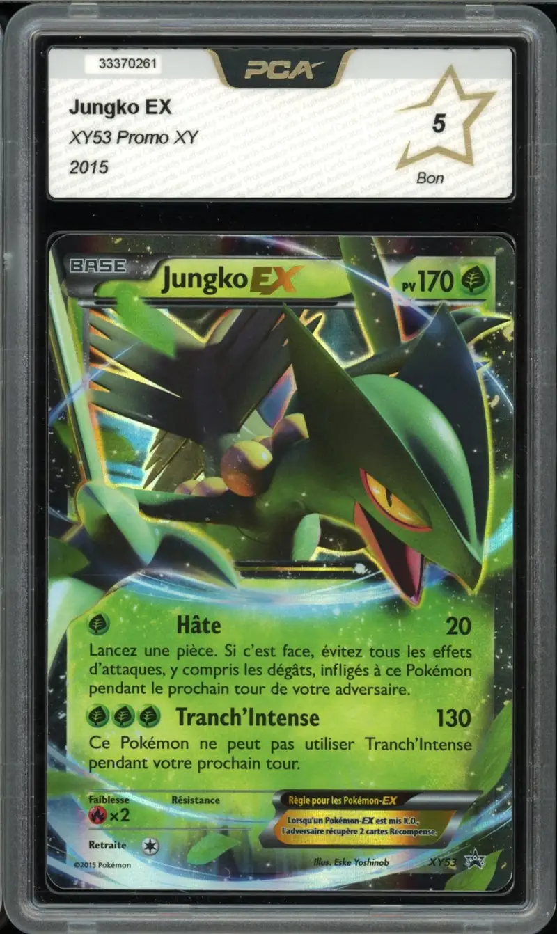 PCA 5 Jungko Ex