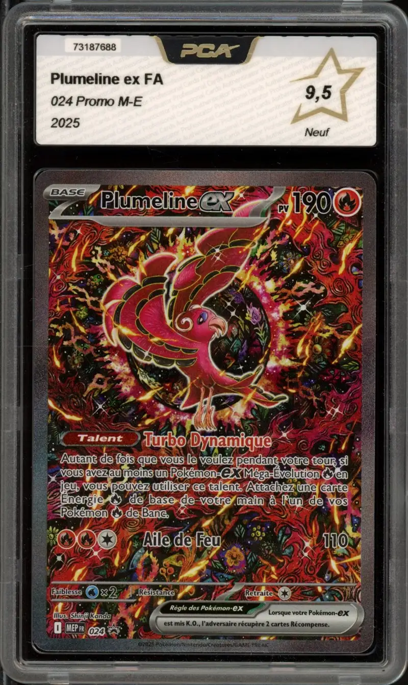 PCA 9.5 Plumeline Ex