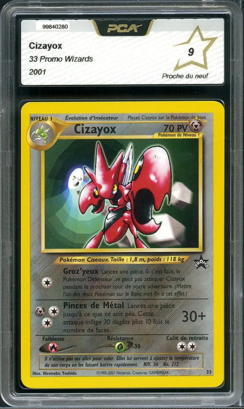PCA 9 Cizayox
