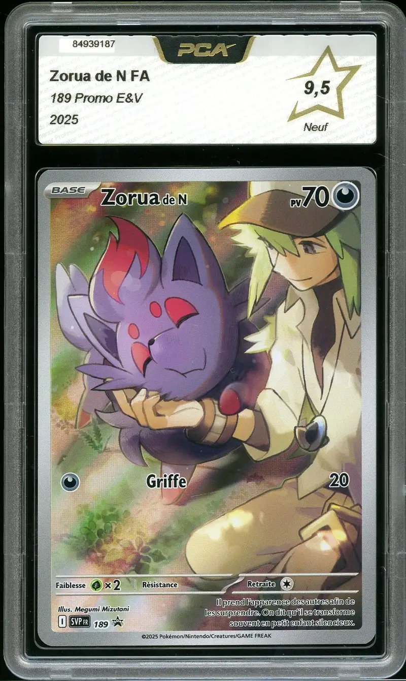 PCA 9.5 Zorua de N