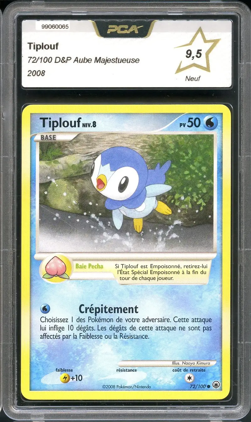 PCA 9.5 Tiplouf