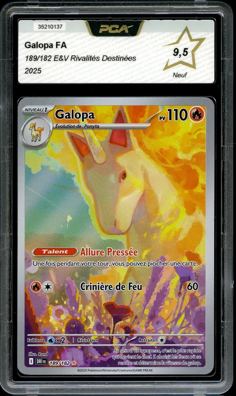 PCA 9.5 Galopa