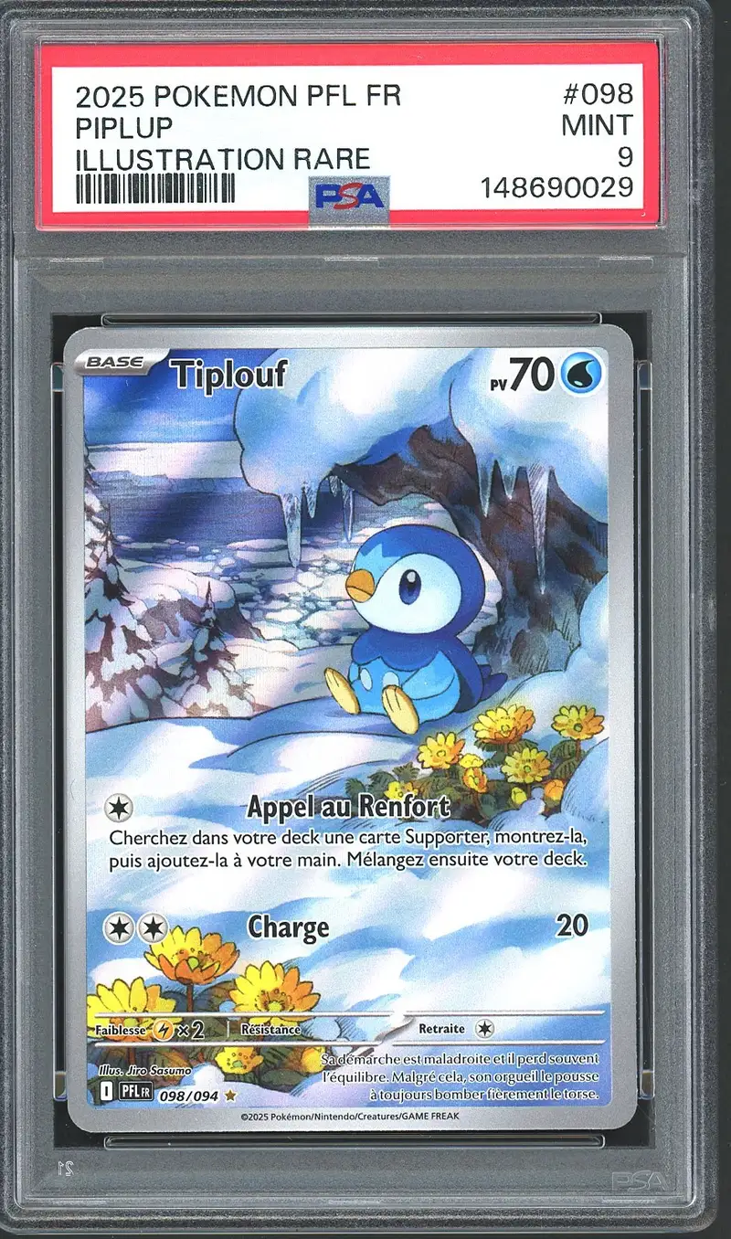 PSA 9 Tiplouf
