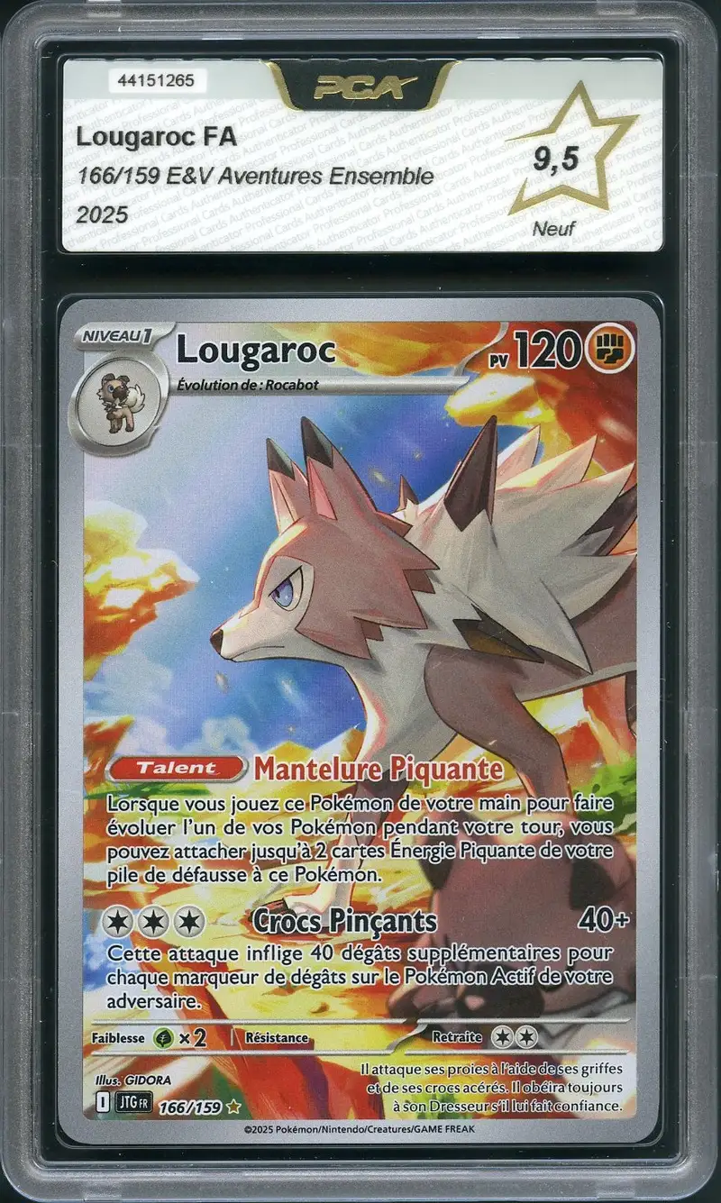 PCA 9.5 Lougaroc
