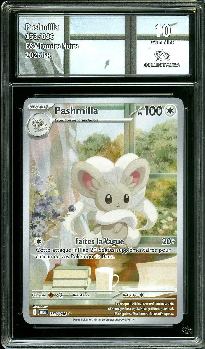 CA 10 Pashmilla