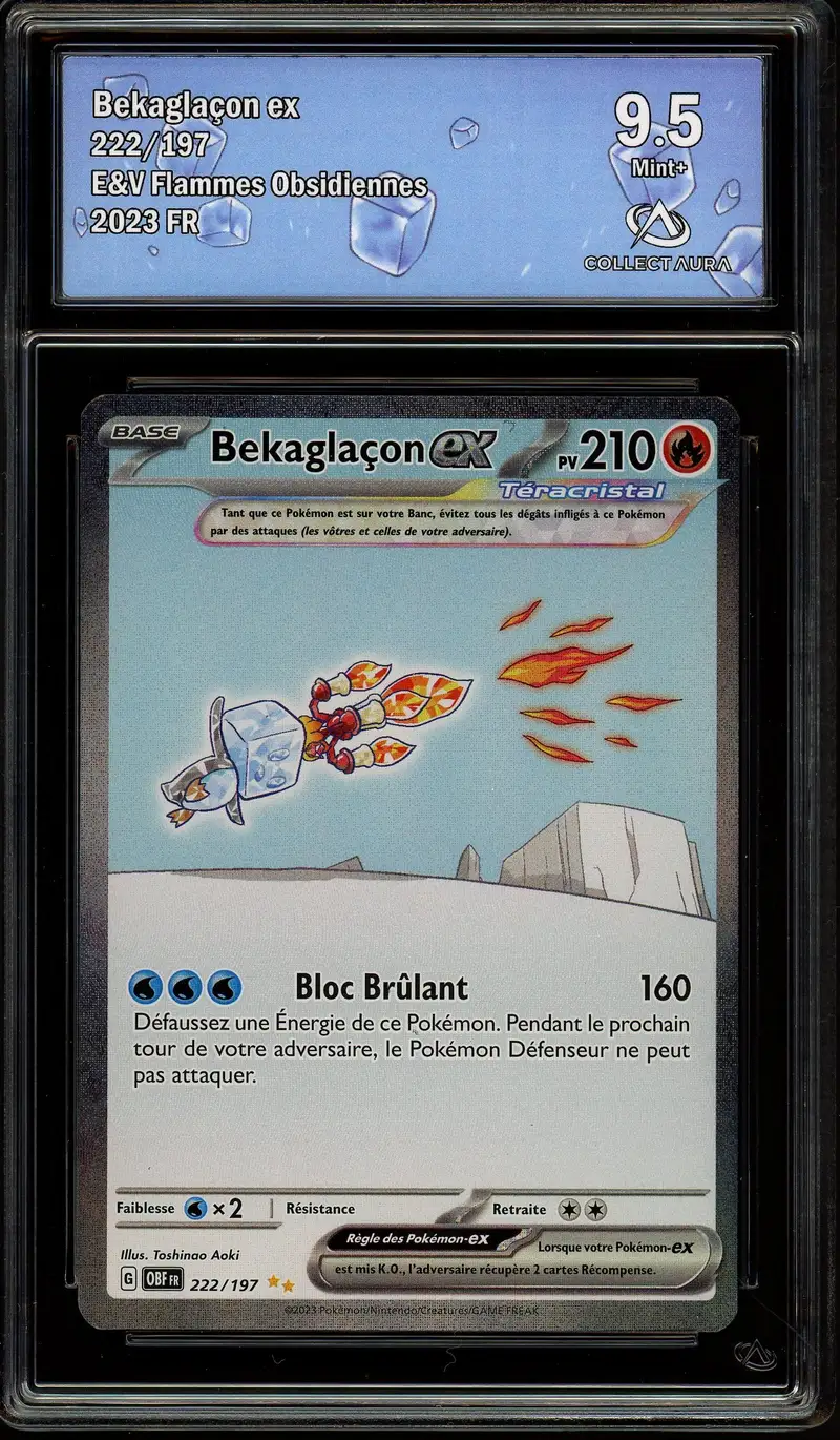 CA 9.5 Bekaglaçon Ex