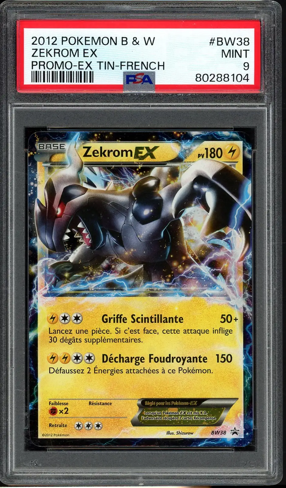 PSA 10 N's Zekrom