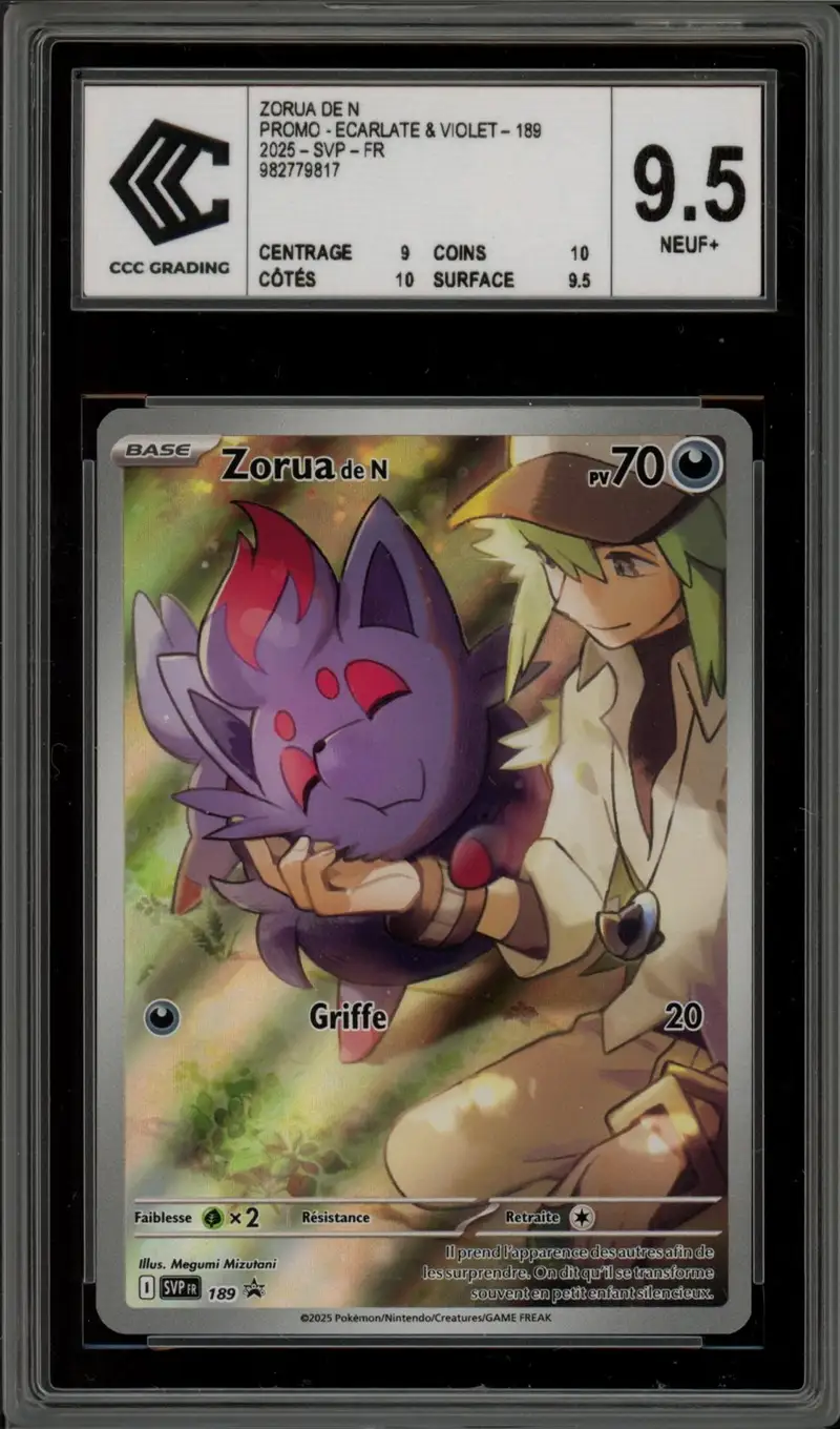 CCC 9.5 Zorua de N