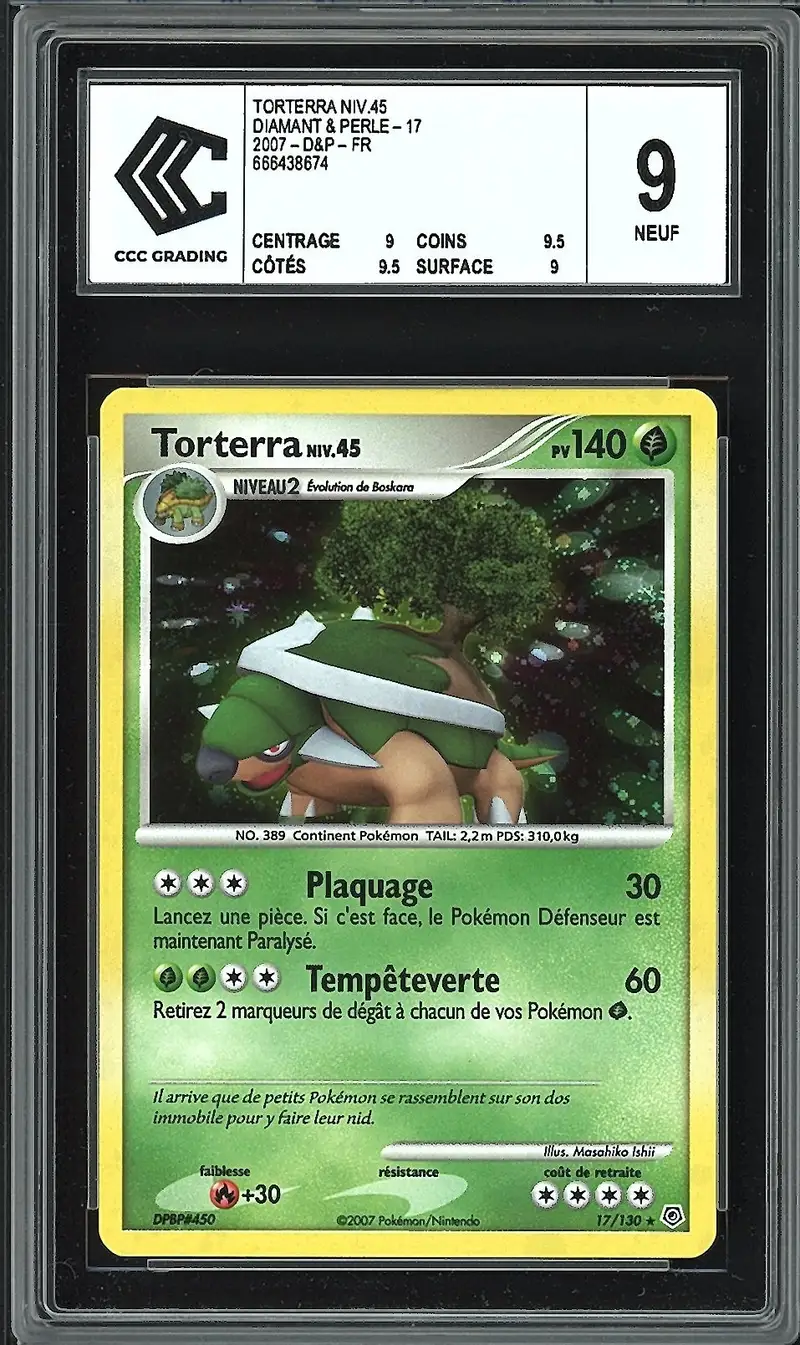 CCC 9 Torterra Holo