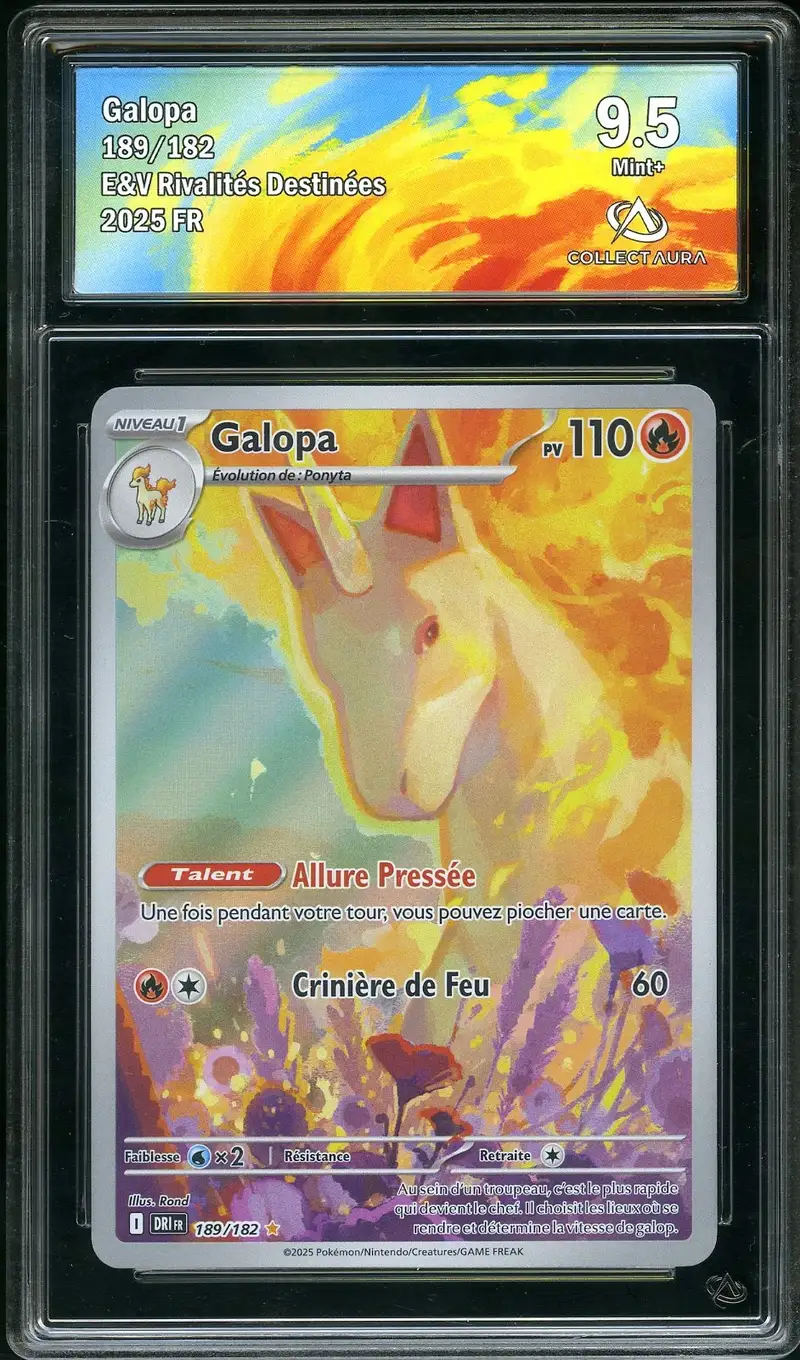 CA 9.5 Galopa