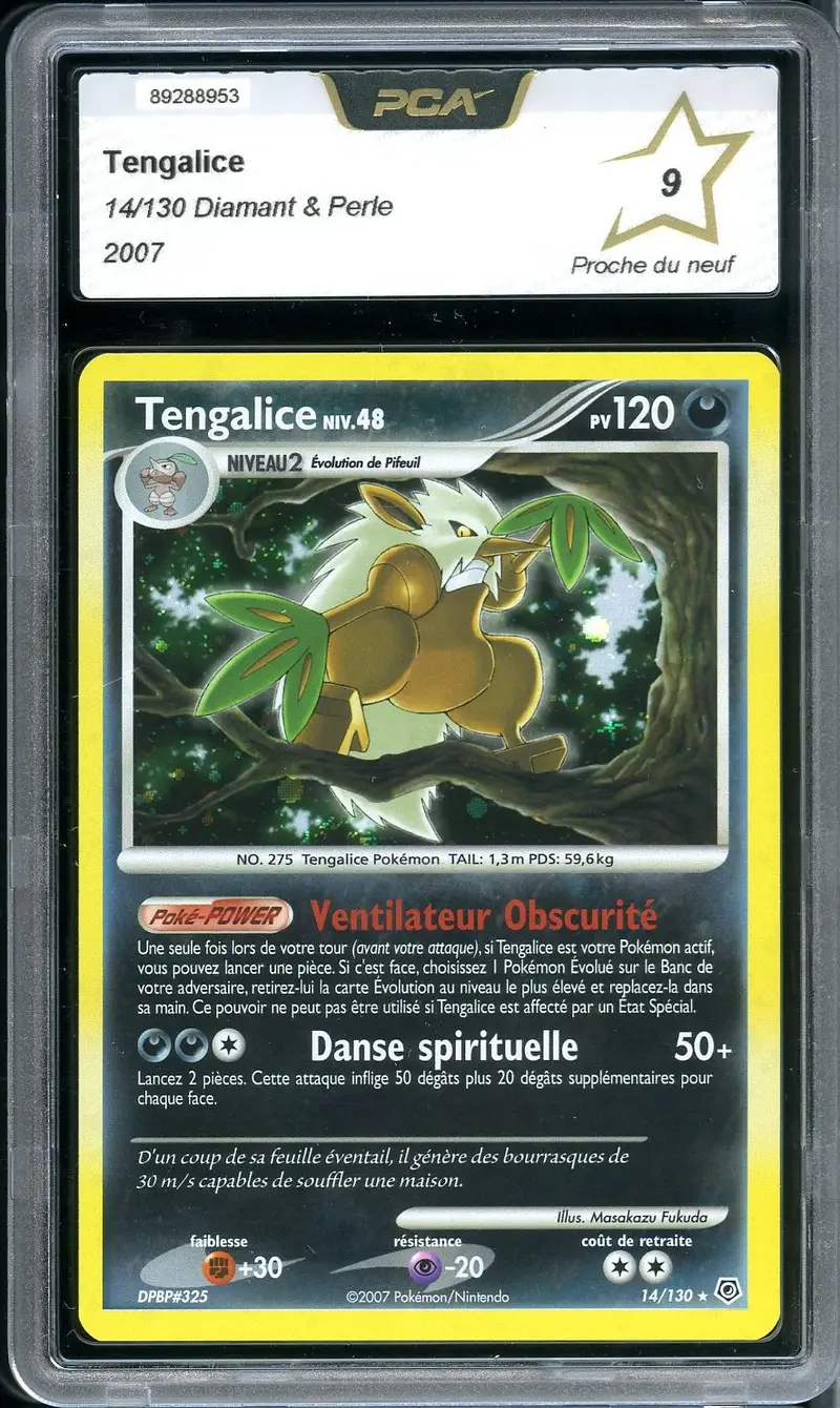 PCA 9 Tengalice Holo