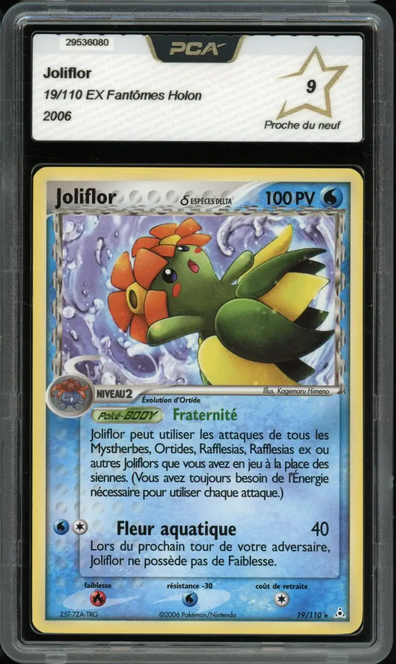 PCA 9 Joliflor