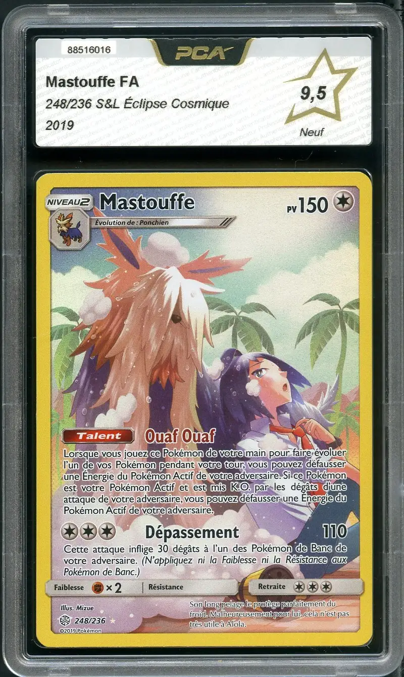 PCA 9.5 Mastouffe