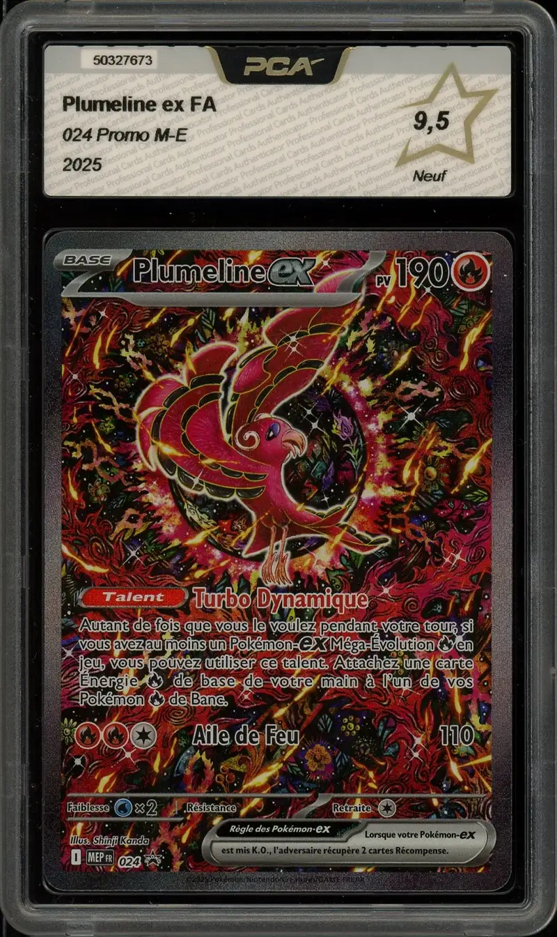 PCA 9.5 Plumeline Ex