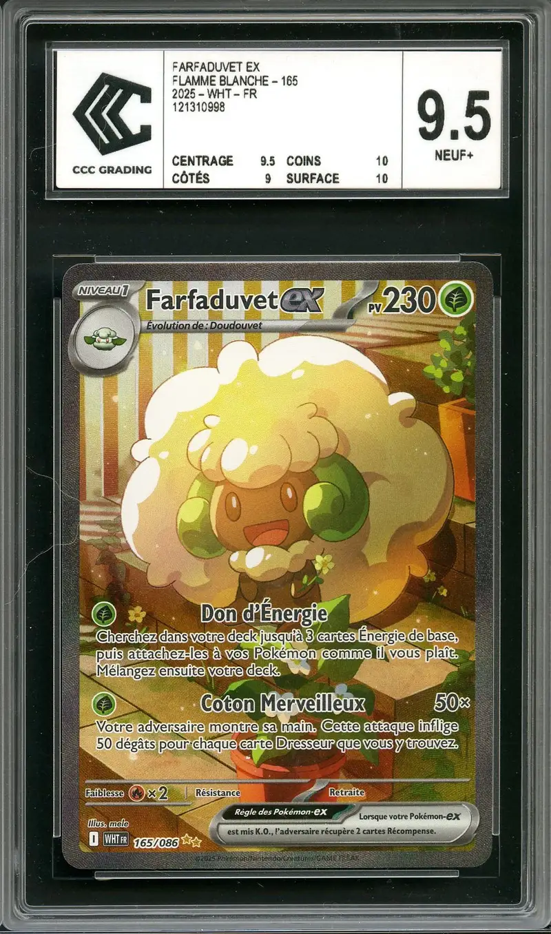 CCC 9.5 Farfaduvet Ex