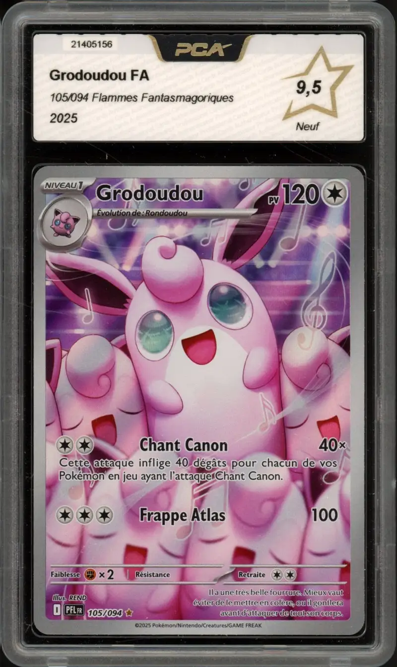 PCA 9.5 Grodoudou