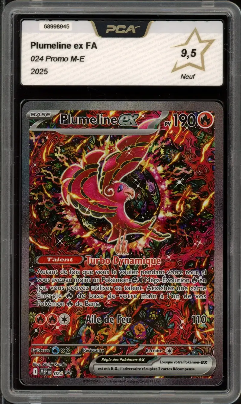 PCA 9.5 Plumeline Ex