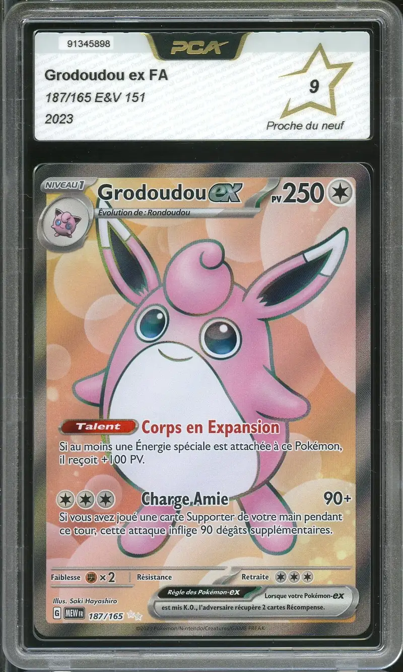 PCA 9 Grodoudou Ex
