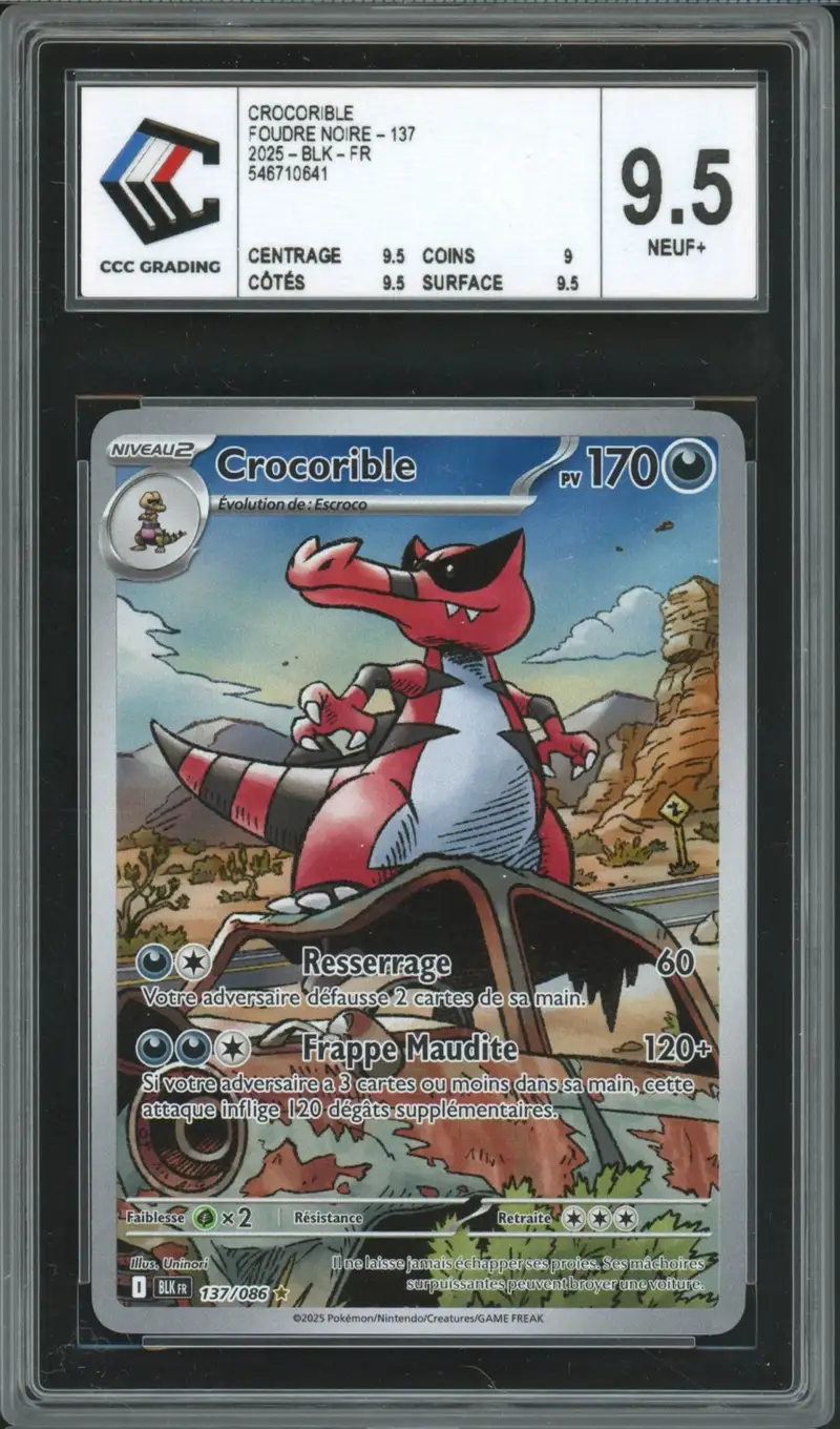 CCC 9.5 Crocorible