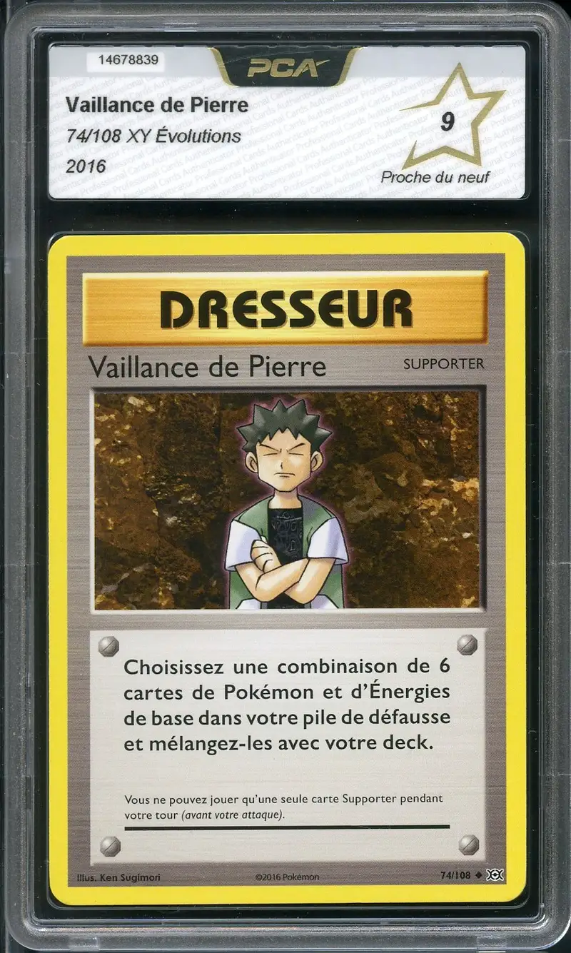 PCA 9 Vaillance de Pierre