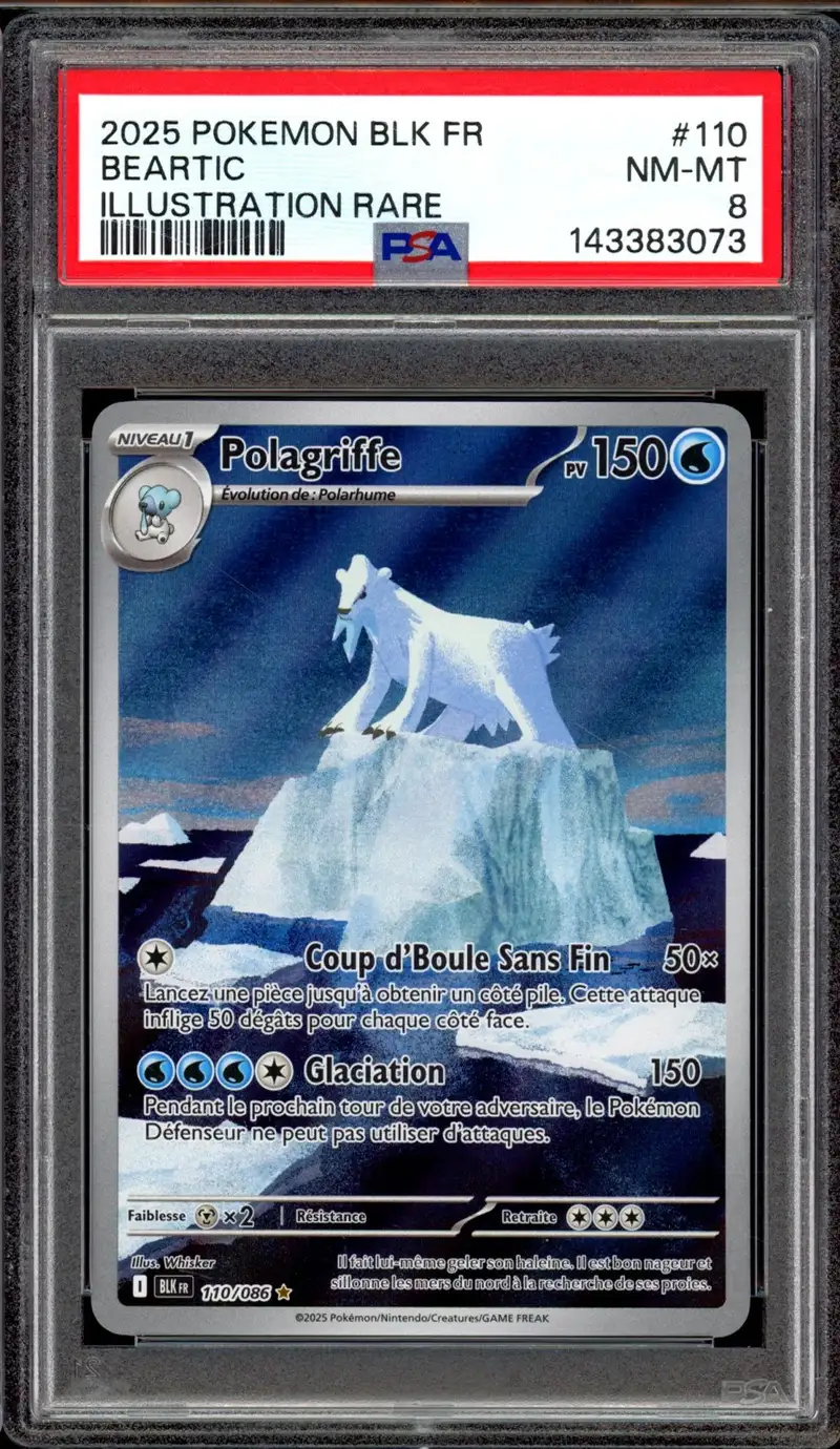 PSA 8 Polagriffe