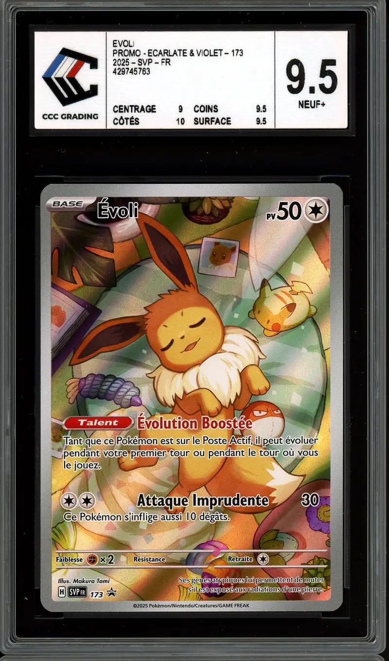 CCC 9.5 Evoli