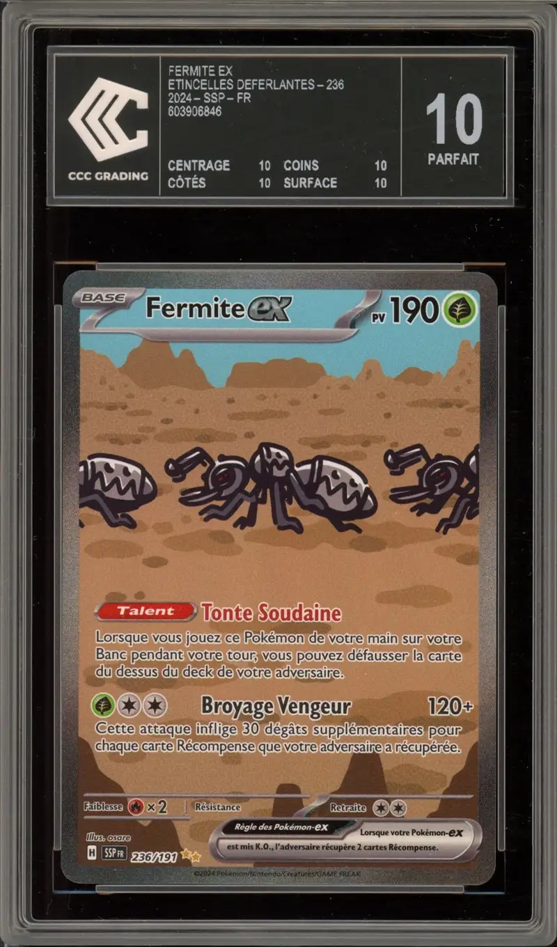 CCC 10 Fermite Ex