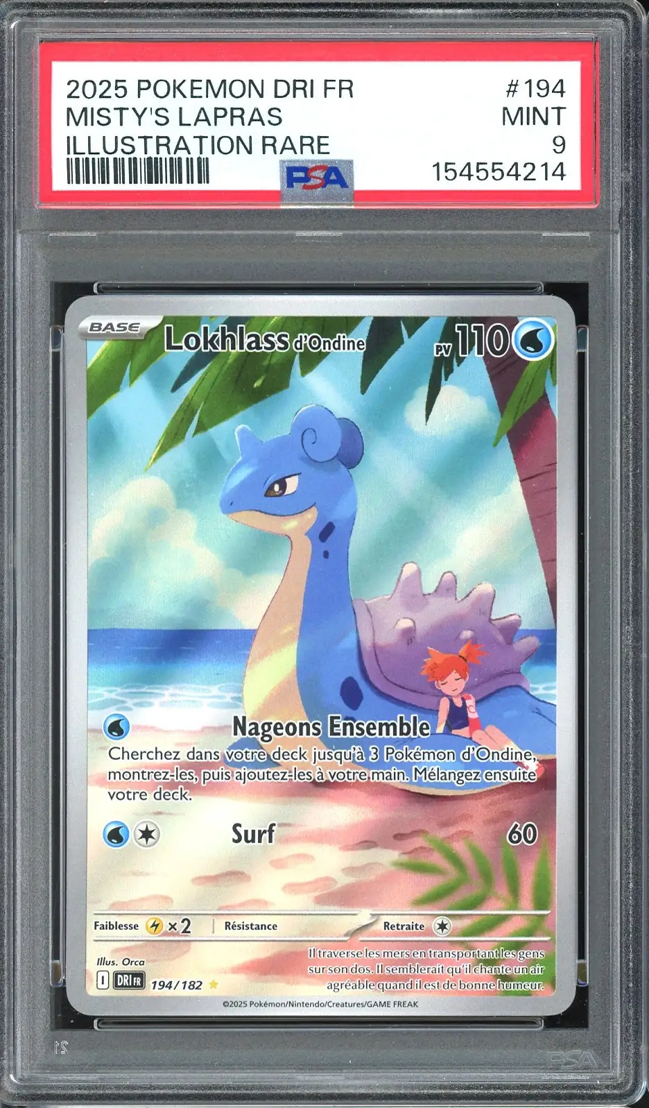 PSA 9 Lokhlass d'Ondine