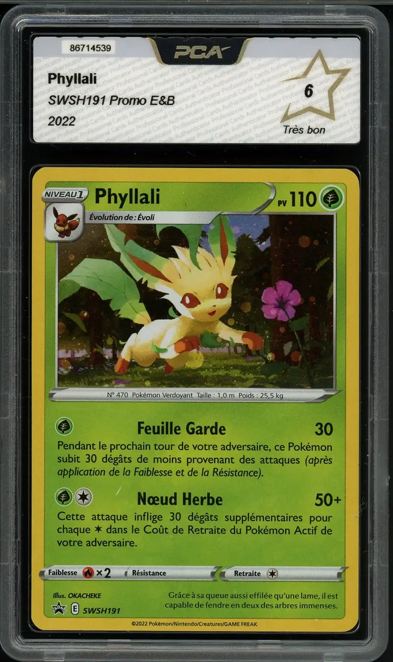 PCA 6 Phyllali Holo